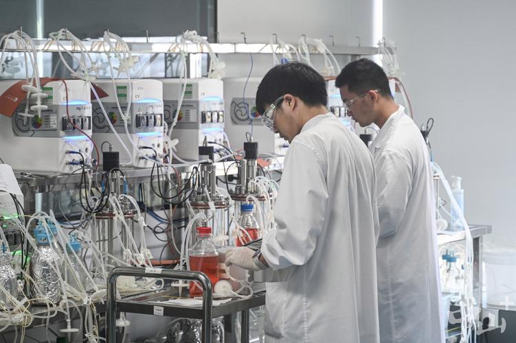2024肿瘤药物公司排名深度解析与靶向药高价回收实操指南